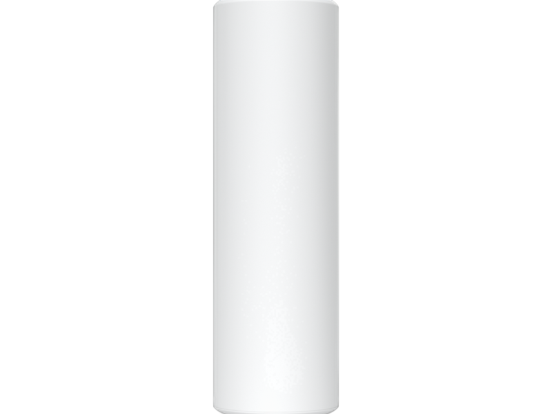 Access Point U6 Mesh
